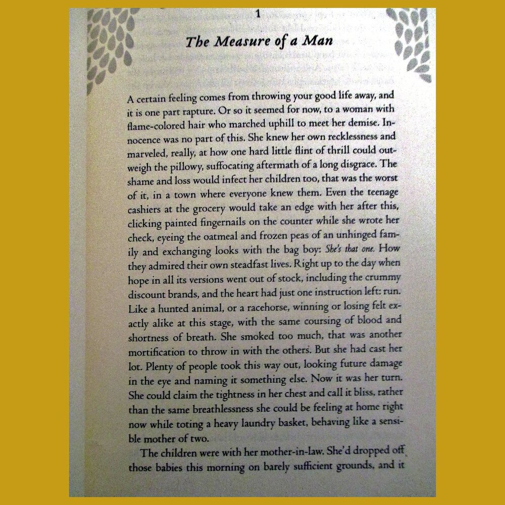 Book: Flight Behavior - A Novel, by Barbara Kingsolver - Picture 2 of 10